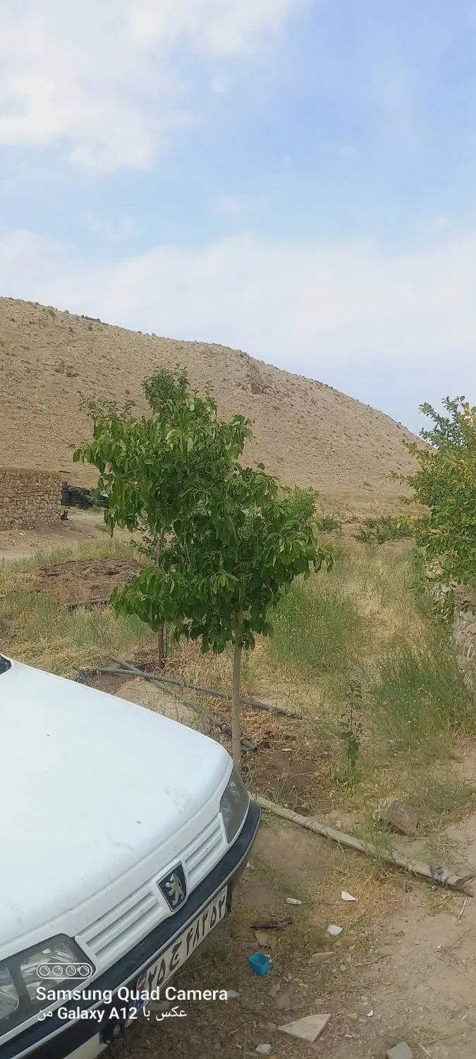تصویر 7