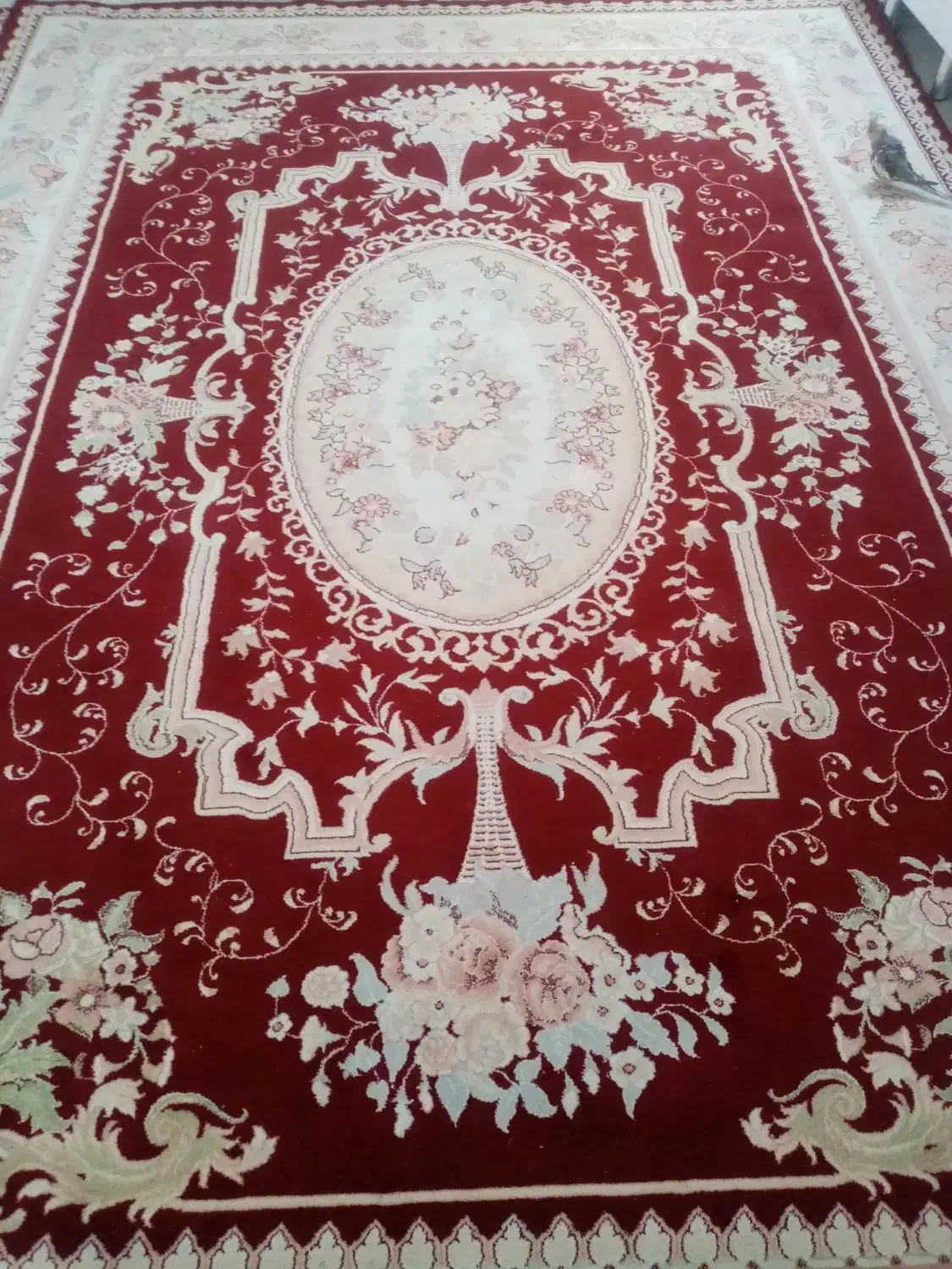 دو عدد فرش 9 و12 متری|فرش|قاهان, |دیوار