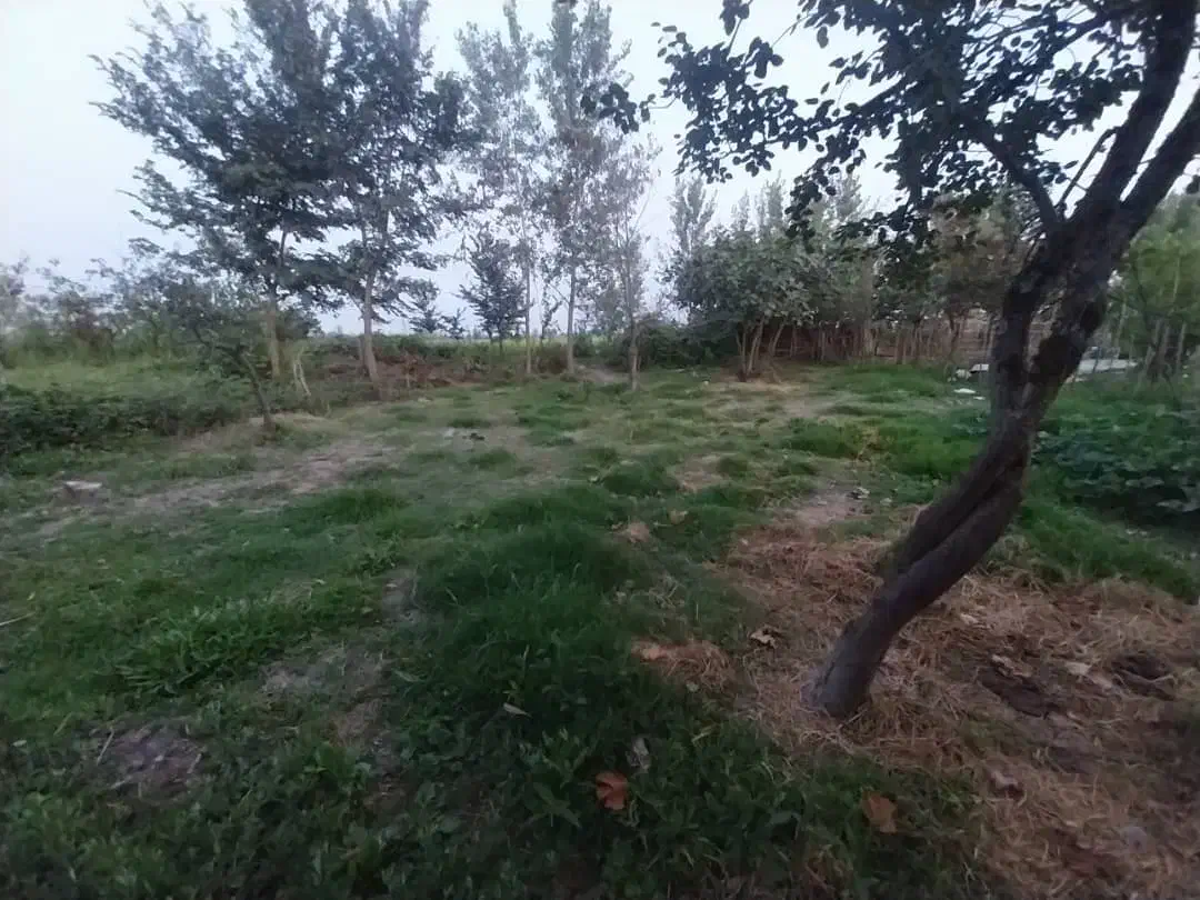 زمین مسکونی ۲۹۸ متر لشت نشا متری ۲۷۰۰|اجارهٔ آپارتمان|رشت, سعدی (تختی)|دیوار