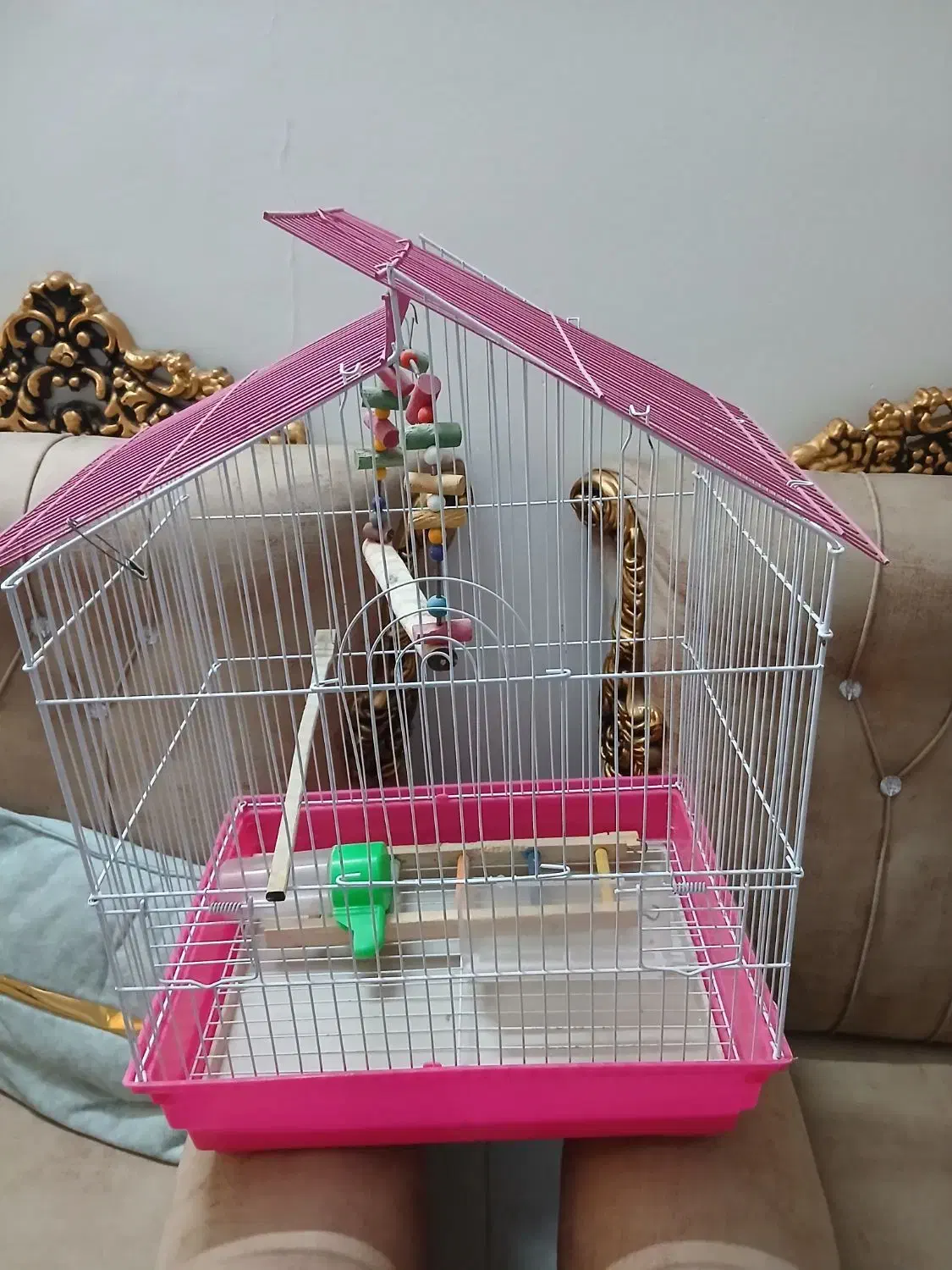 قفس پرنده|لوازم جانبی حیوانات|مشهد, مهدی آباد (بلوار توس)|دیوار