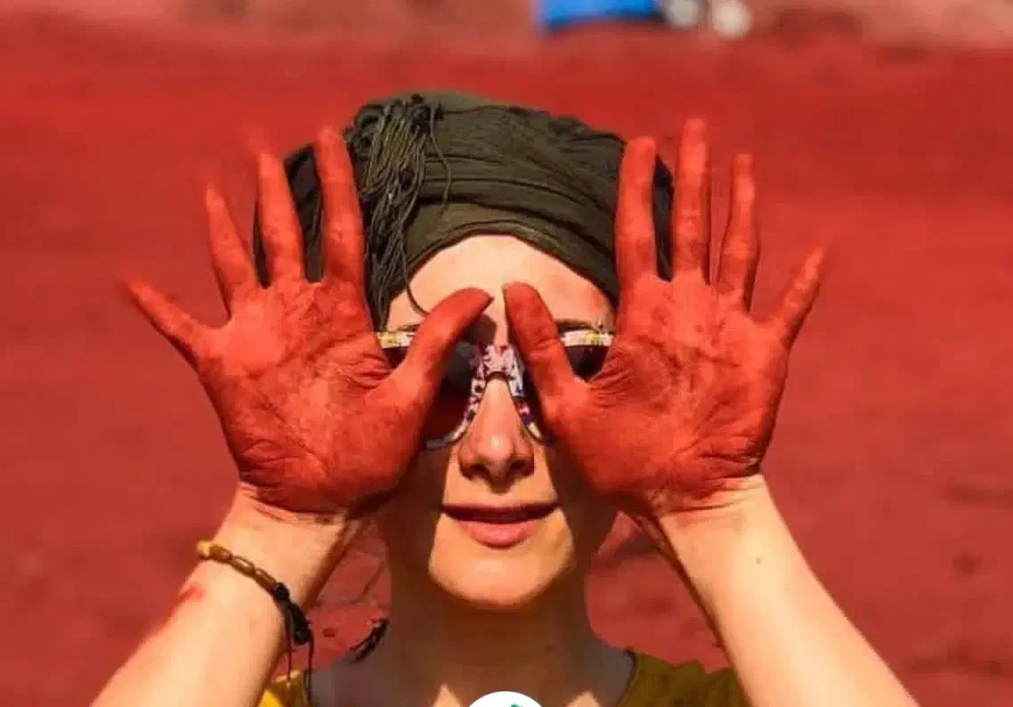 تور جزیره هزار رنگ هرمز لحظه آخری|تور و چارتر|شیراز, بعثت|دیوار