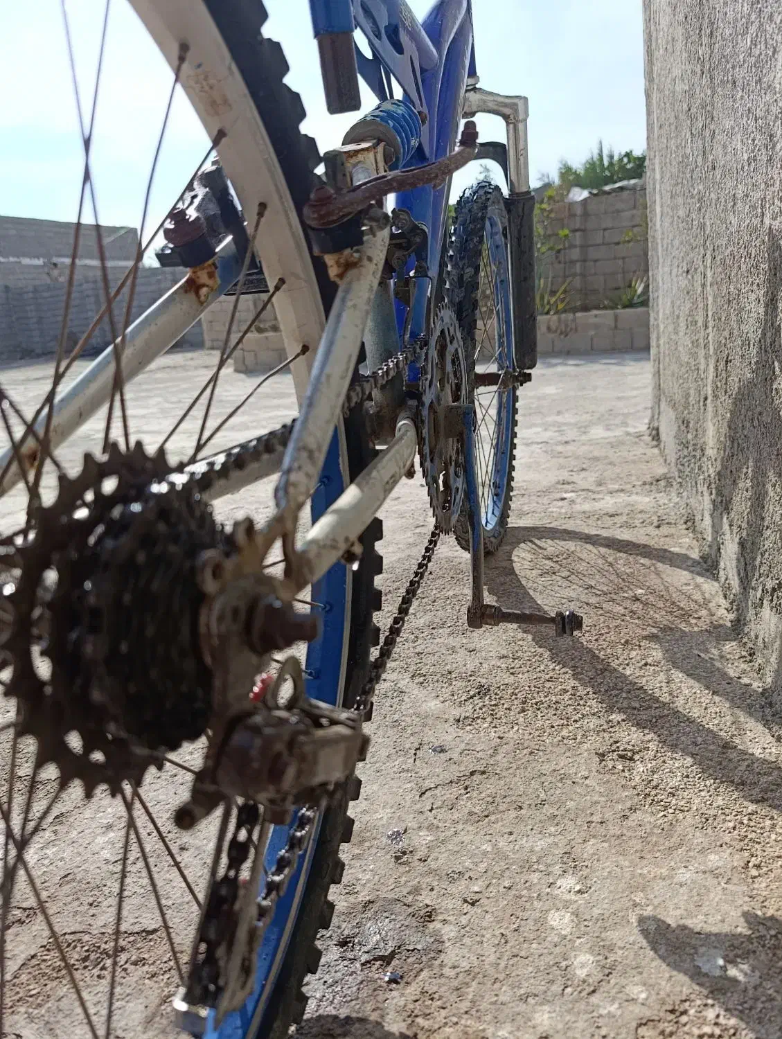 دوچرخه|دوچرخه، اسکیت، اسکوتر|کازرون, |دیوار