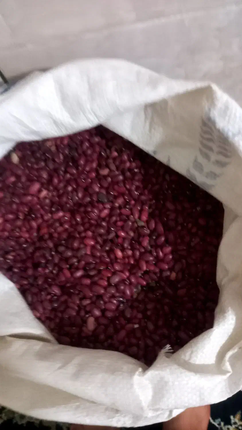 لوبیا قرمز|عمدهفروشی|بیرانوند, |دیوار