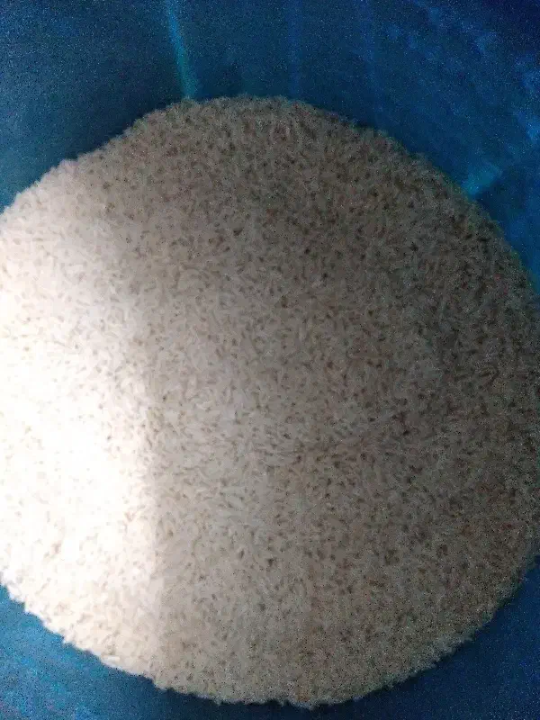 برنج هاشمی|خوردنی و آشامیدنی|املش, |دیوار