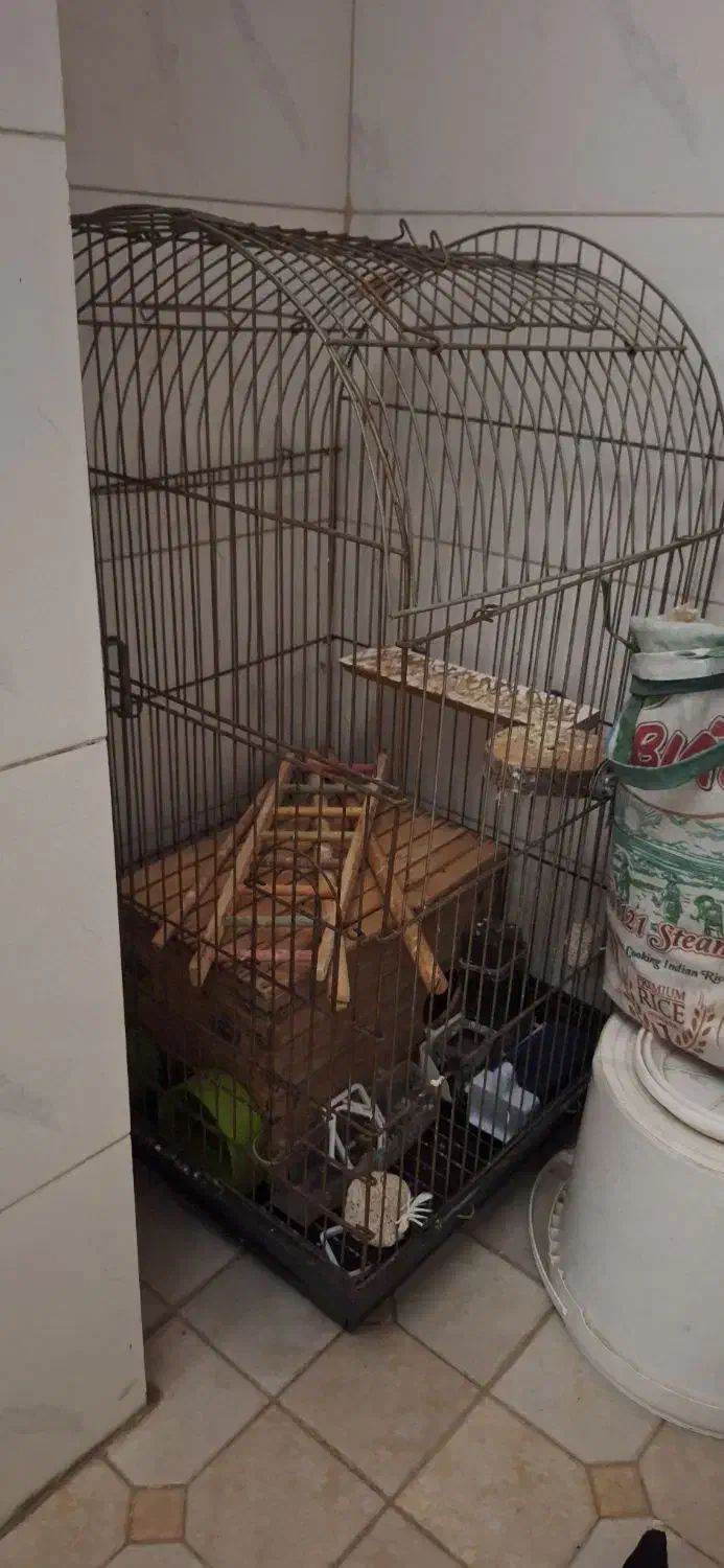قفس بزرگ کاسکویی|لوازم جانبی حیوانات|بندرعباس, |دیوار