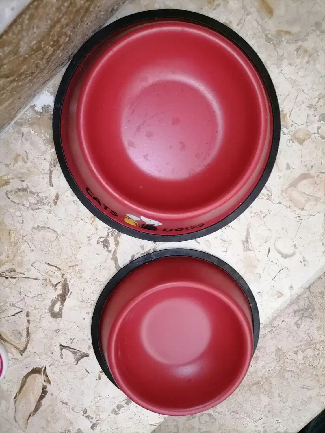 ظرف غذای گربه و سگ|لوازم جانبی حیوانات|لنگرود, |دیوار