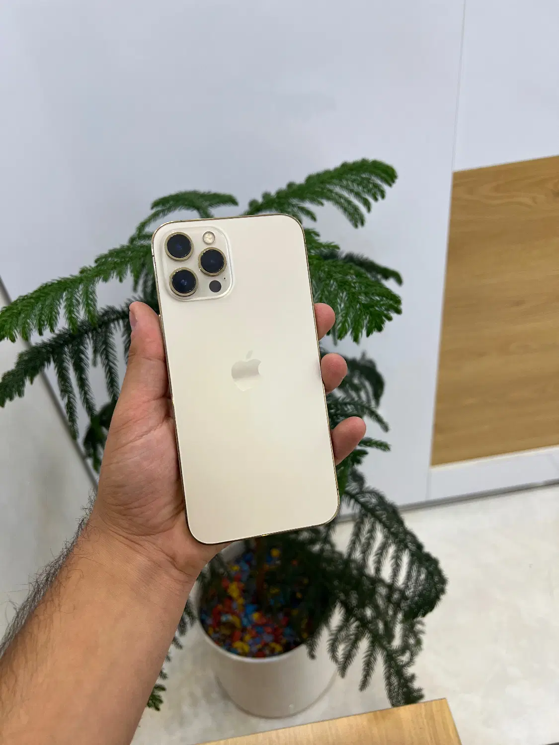 Iphone 12 pro max دوسیم مارت پک اصلی|موبایل|شیراز, فخرآباد (دروازه کازرون)|دیوار