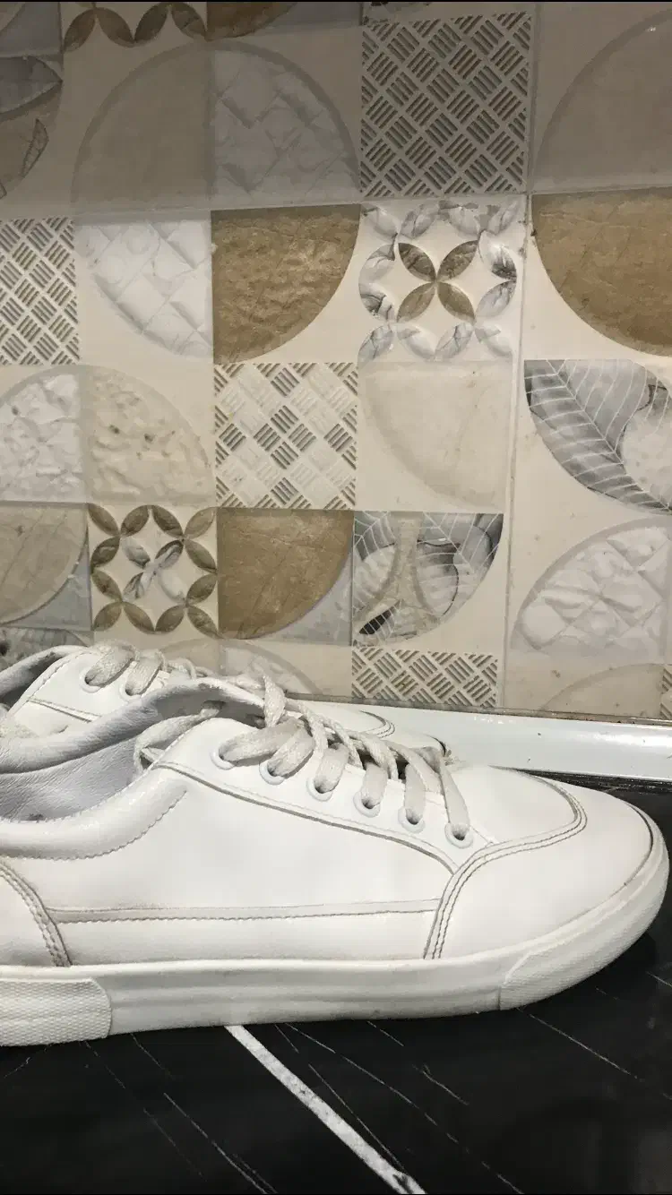 کتونی مردانه ونس|کیف، کفش، کمربند|رشت, رشتیان|دیوار