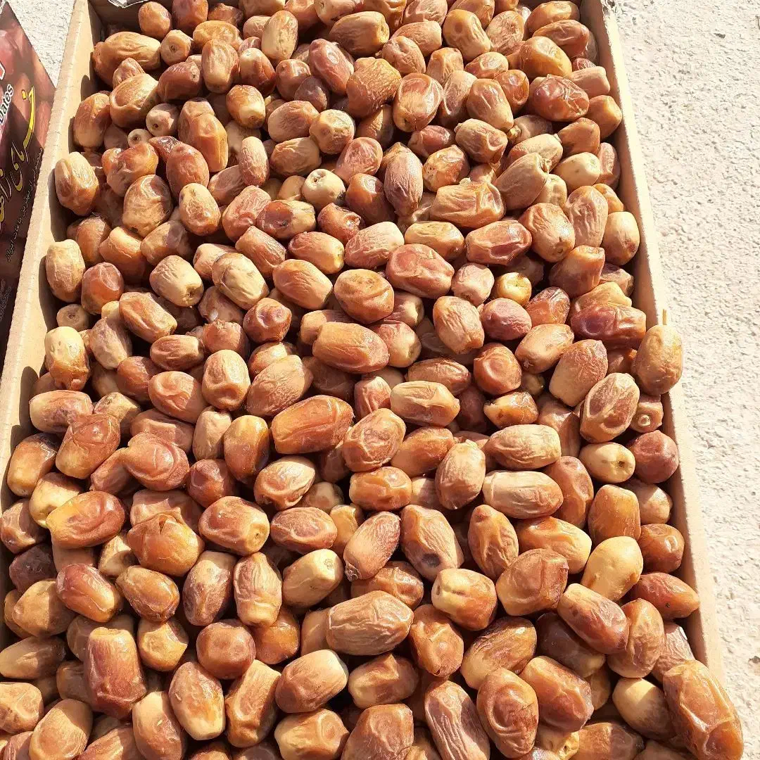 خرمای زاهدی خشک معرف به قصب|عمدهفروشی|فراشبند, |دیوار