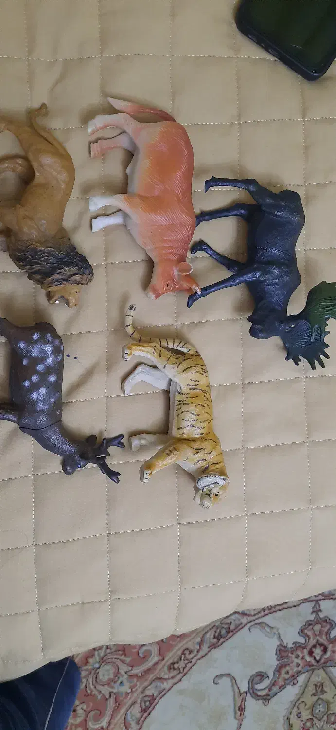 حیوون|اسباببازی|مشهد, آپارتمان های مرتفع|دیوار