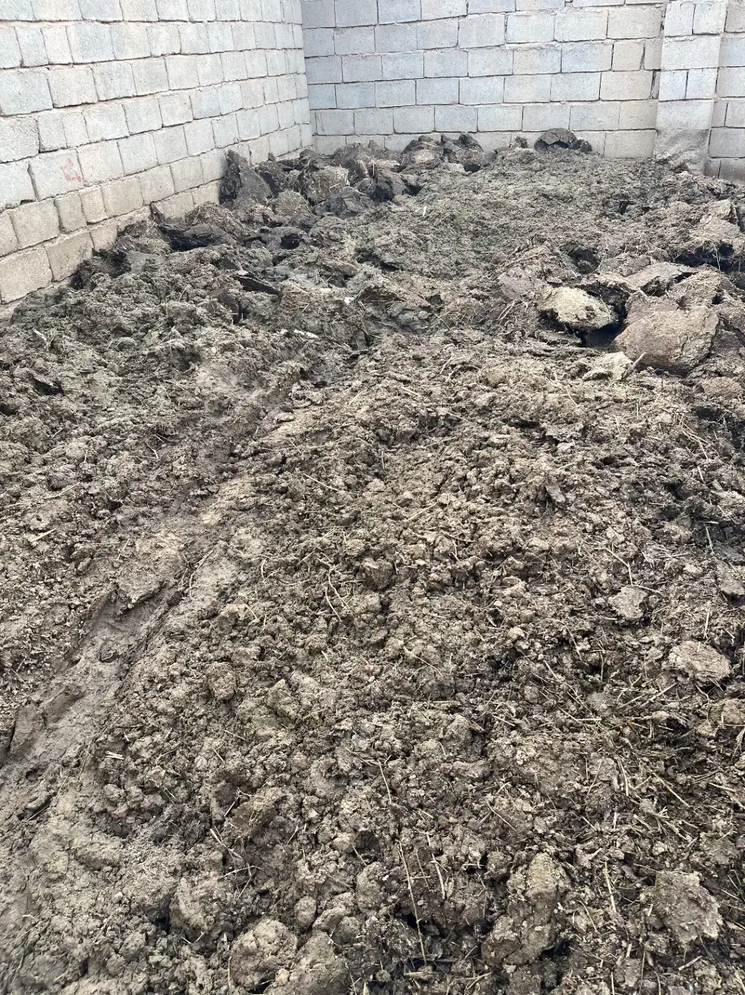 پهن گوسفندی|خدمات باغبانی و درختکاری|بکتاش, |دیوار