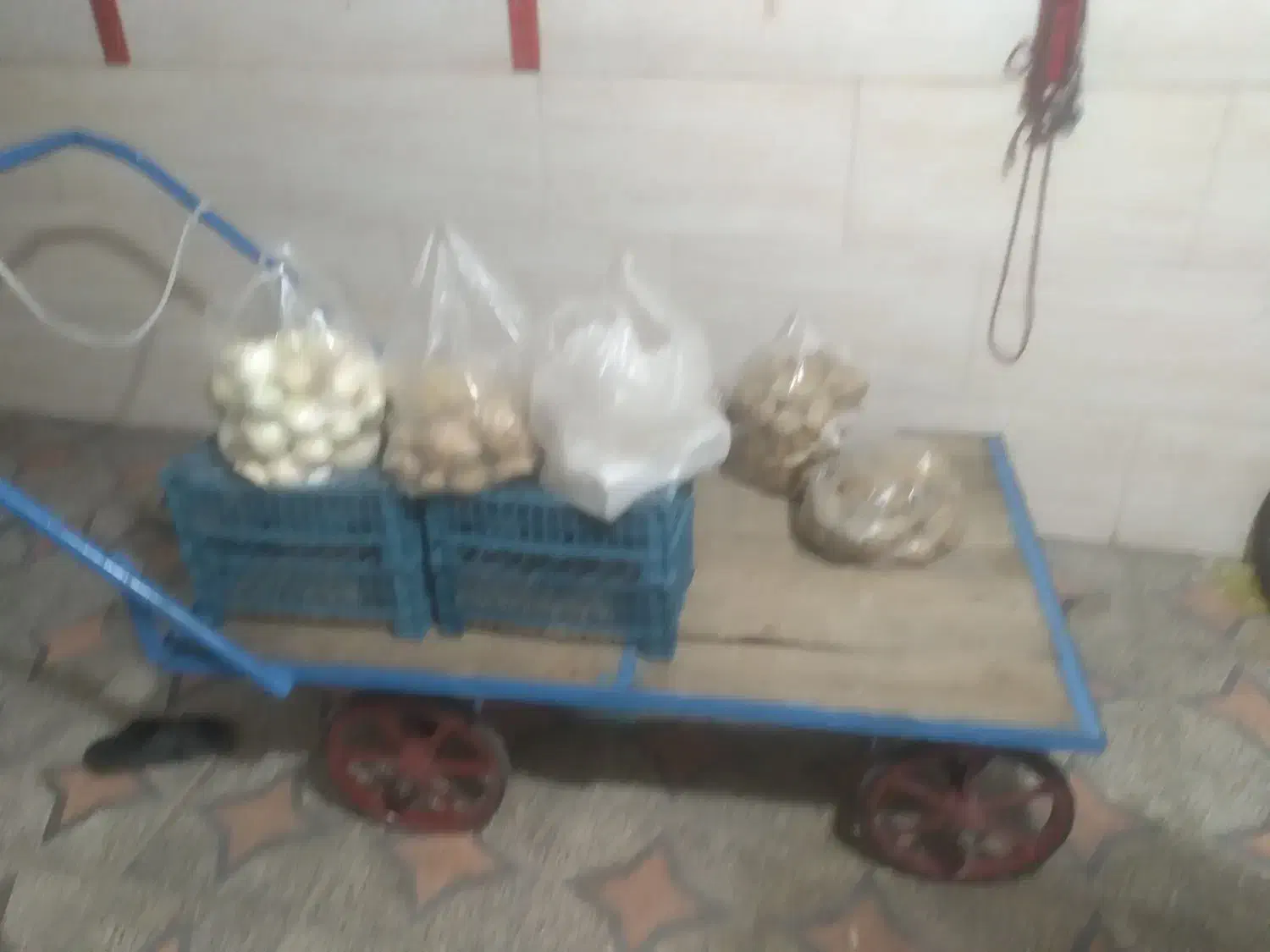 گاری چهار چرخ|ابزارآلات|دورود, |دیوار