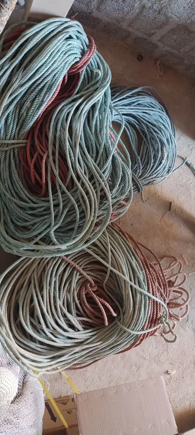 فروش جل میگو|ماهیگیری|درگهان, |دیوار