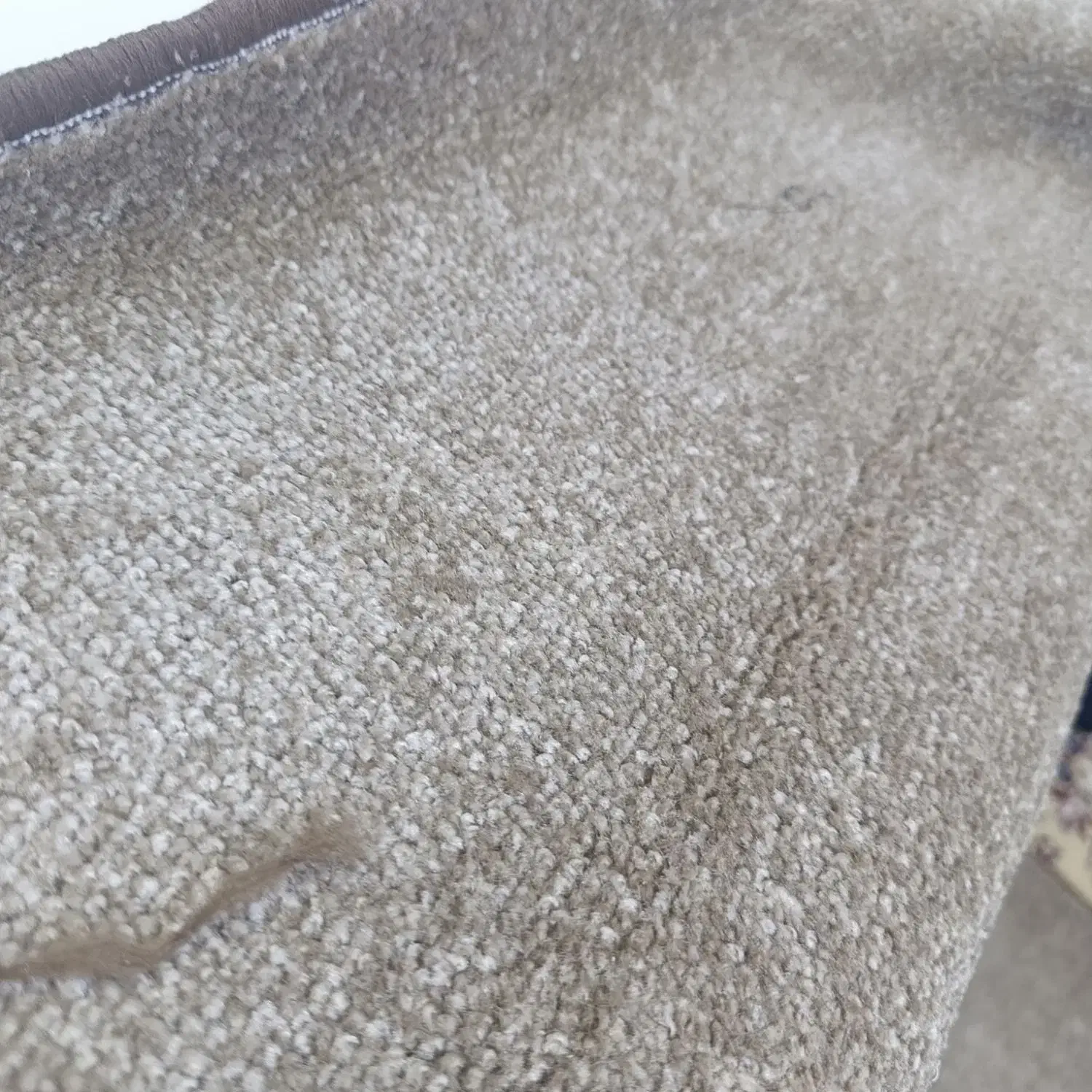 پالاز موکت|موکت|خرمآباد, |دیوار