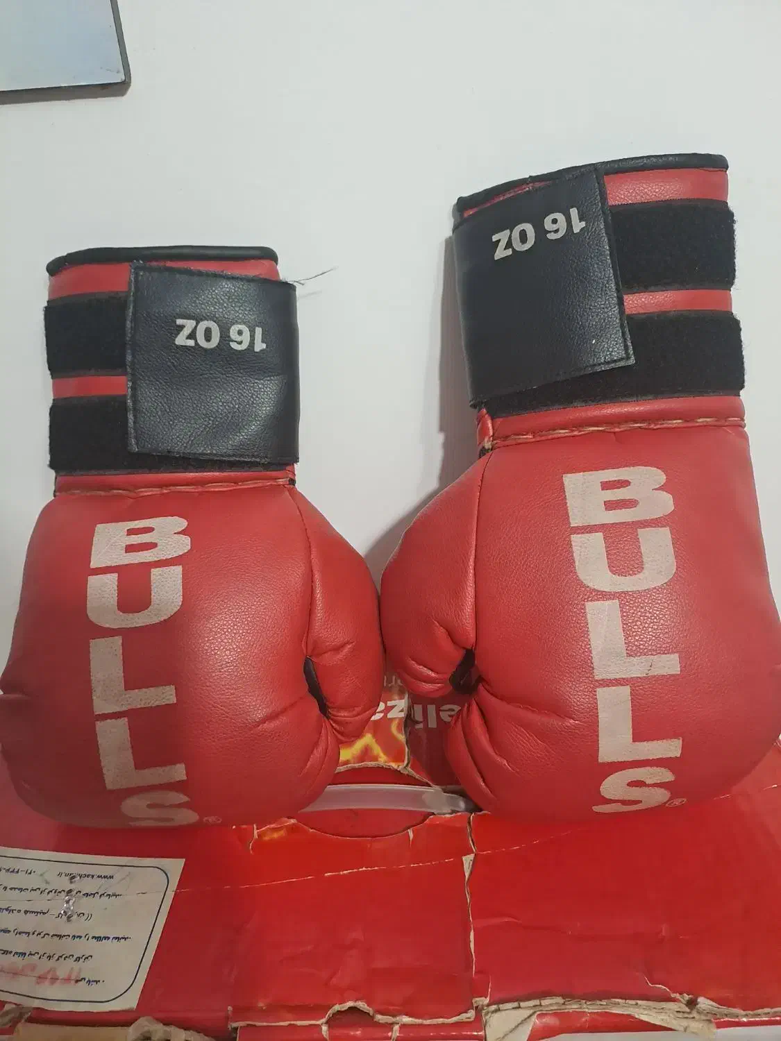 دستکش|تجهیزات ورزشی|مشگین شهر, |دیوار