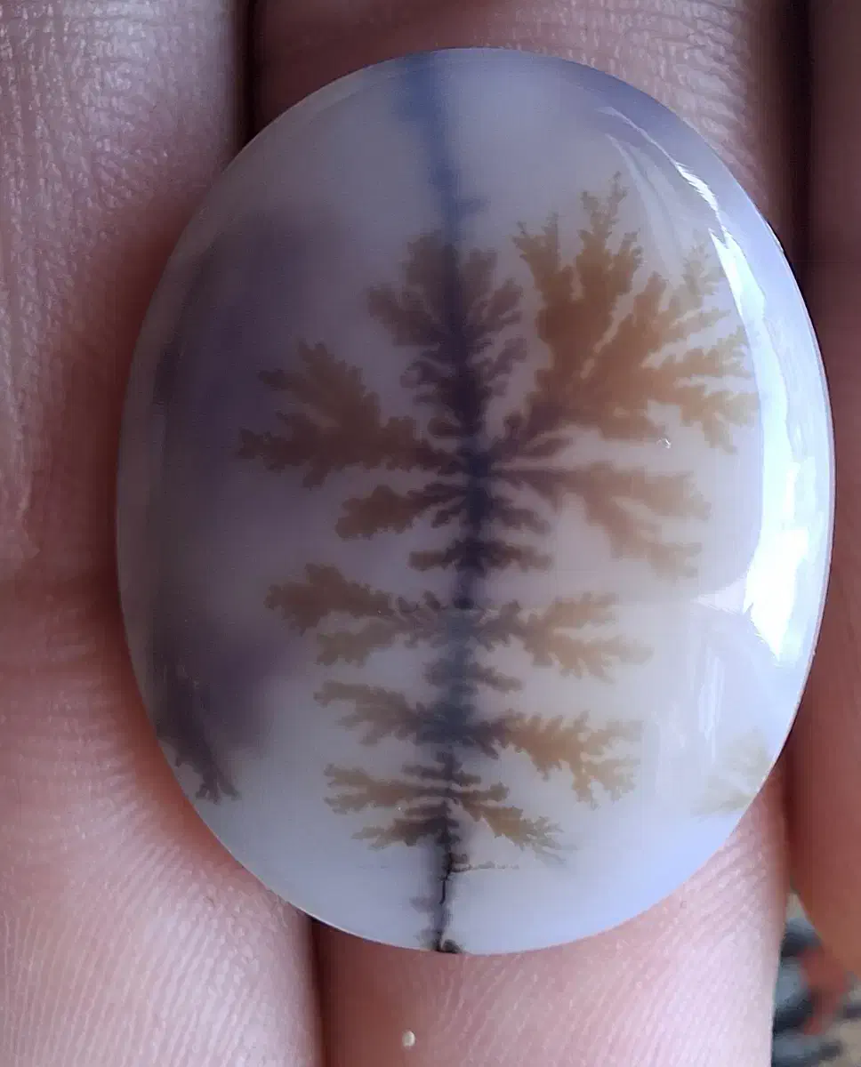 انگشتر شجر|جواهرات|اراک, |دیوار