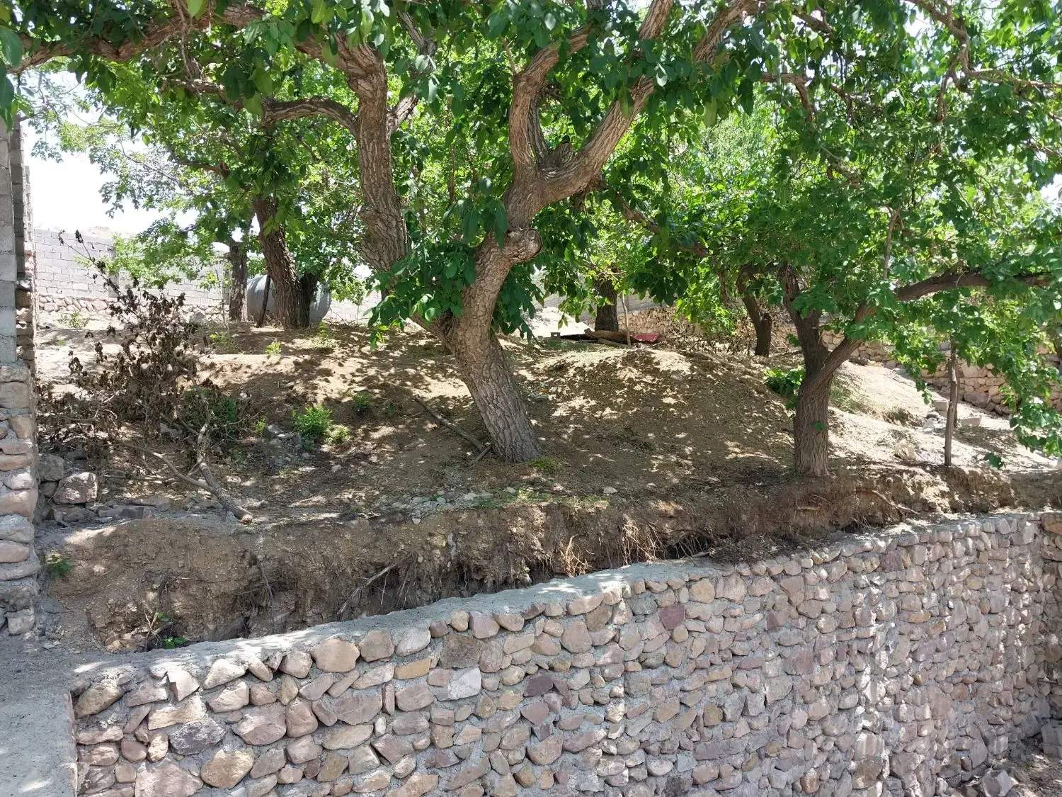باغچه فروشی|فروش زمین و ملک کلنگی|کوهسار (البرز), |دیوار
