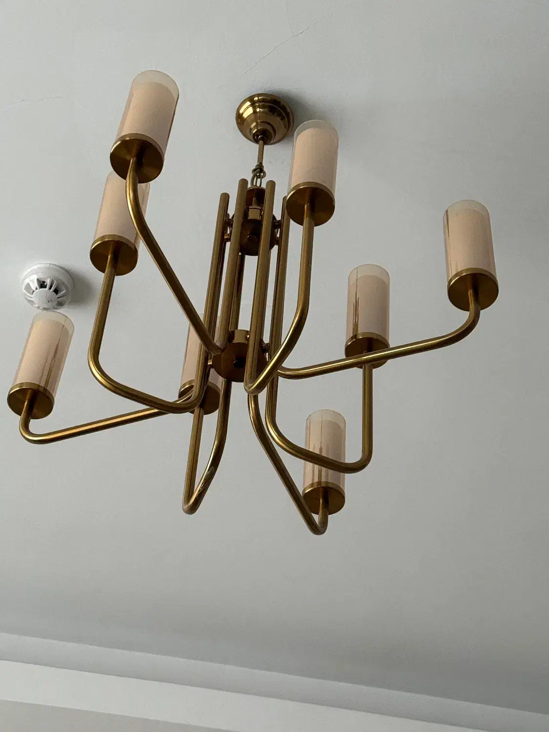 ۲عدد لوستر ۱۰شاخه و ۸ شاخه|لوستر و چراغ آویز|تهران, حکیمیه|دیوار