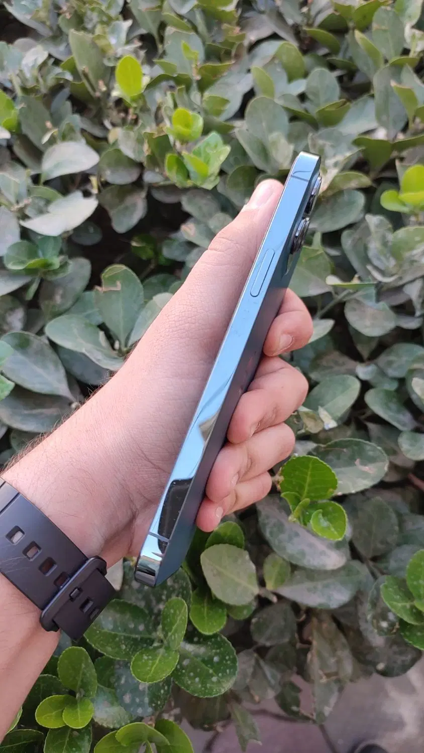 iphone 12 pro max|موبایل|مشهد, هنرستان|دیوار