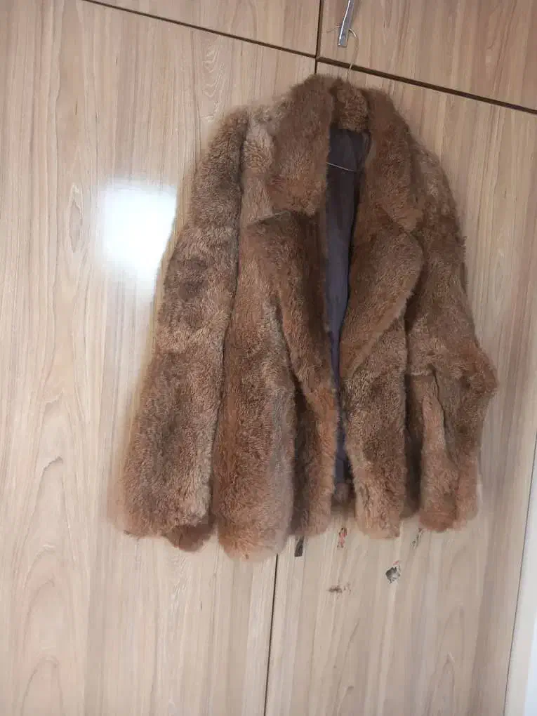 کاپشن پوست اصل|لباس|رشت, حمیدیان|دیوار