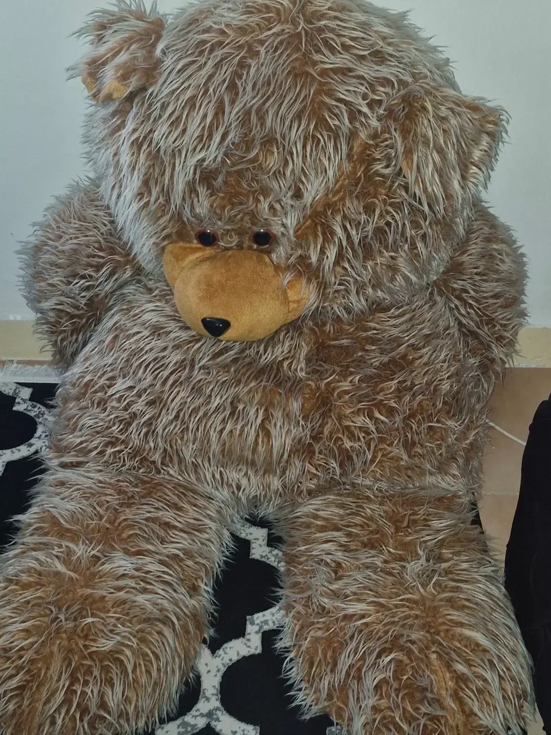 خرس|اسباب‌بازی بچه|بندر انزلی, آذربایجان|دیوار