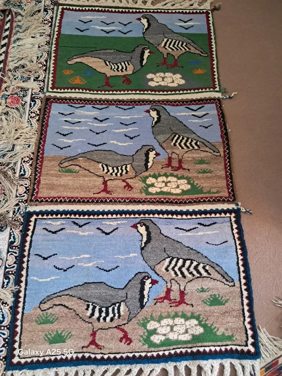 گلیم و پشتی|گلیم، جاجیم، گبه|شیراز, شهرک قمشه|دیوار