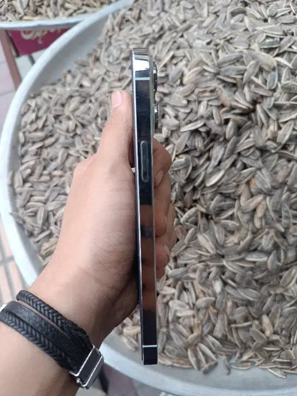 iphone 13 pro max|موبایل|شهر ری, علایین|دیوار