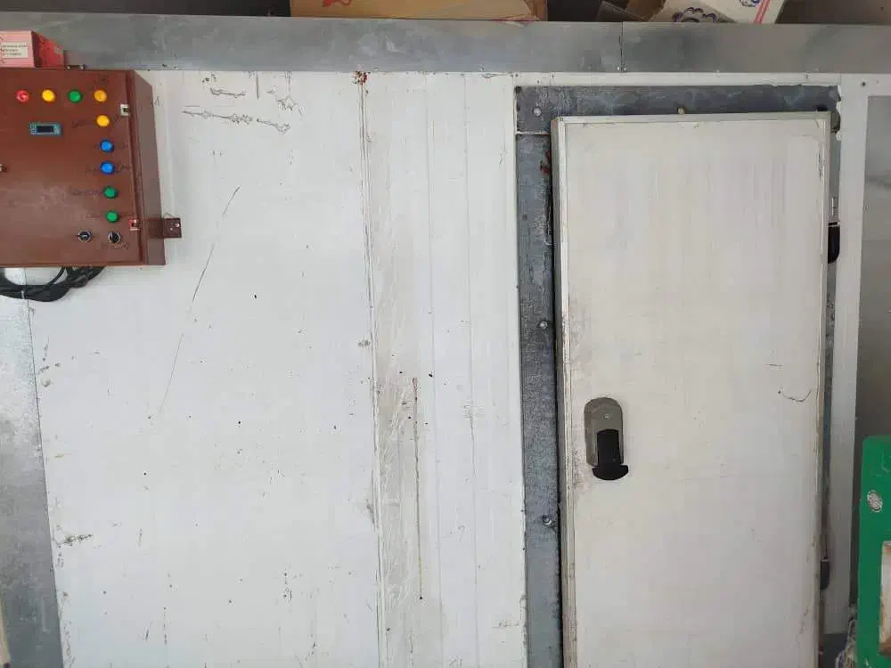 سردخانه زیر صفر|ابزارآلات|دوگنبدان, |دیوار