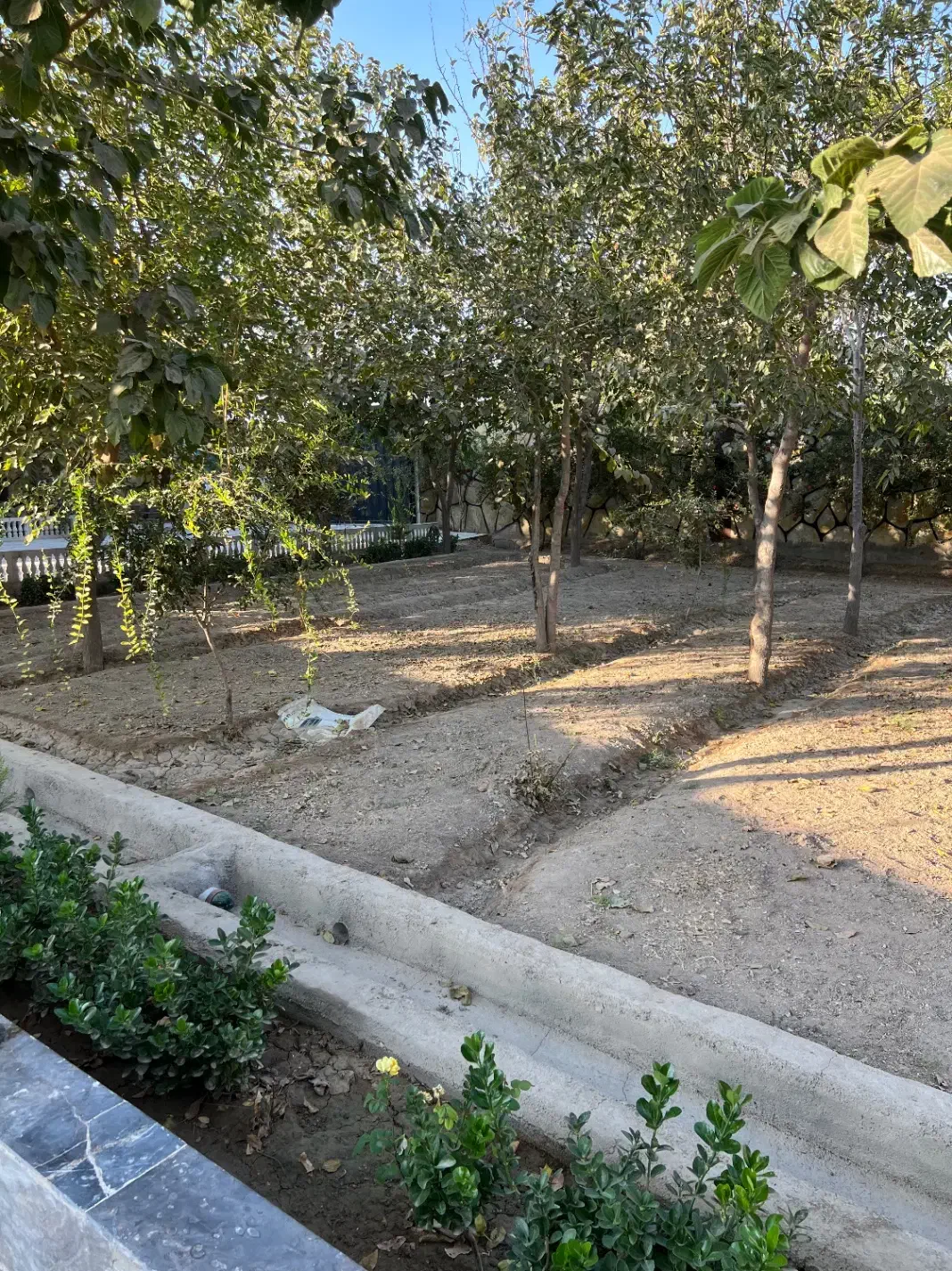 باغ و باغچه|فروش خانه و ویلا|اسلام‌شهر, کاشانک|دیوار