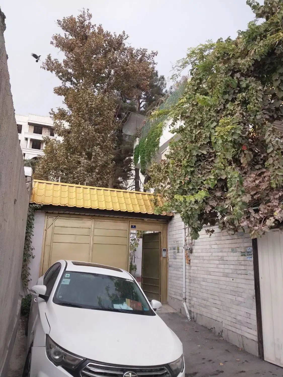 ۳طبقه ویلای  تهاتربا زمین.ویلا‌.ویلای|فروش خانه و ویلا|محمدشهر, سیدآباد|دیوار