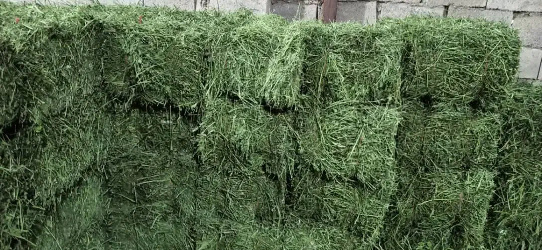 پرس یونجه سبوس گندم کاه گندم جو خوراک اسب|لوازم جانبی حیوانات|اصفهان, شهرک کوثر|دیوار