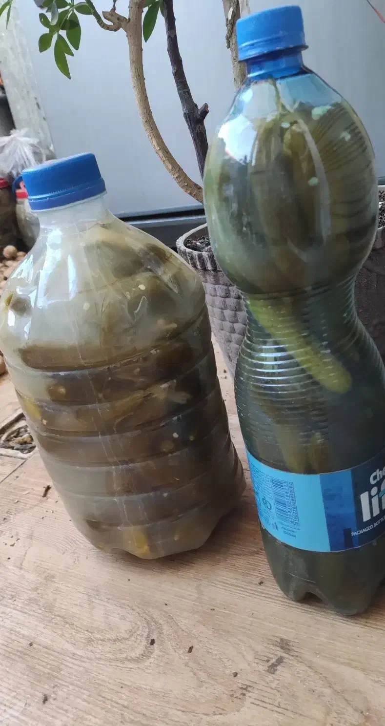 خیارشور|خوردنی و آشامیدنی|میاندوآب, |دیوار