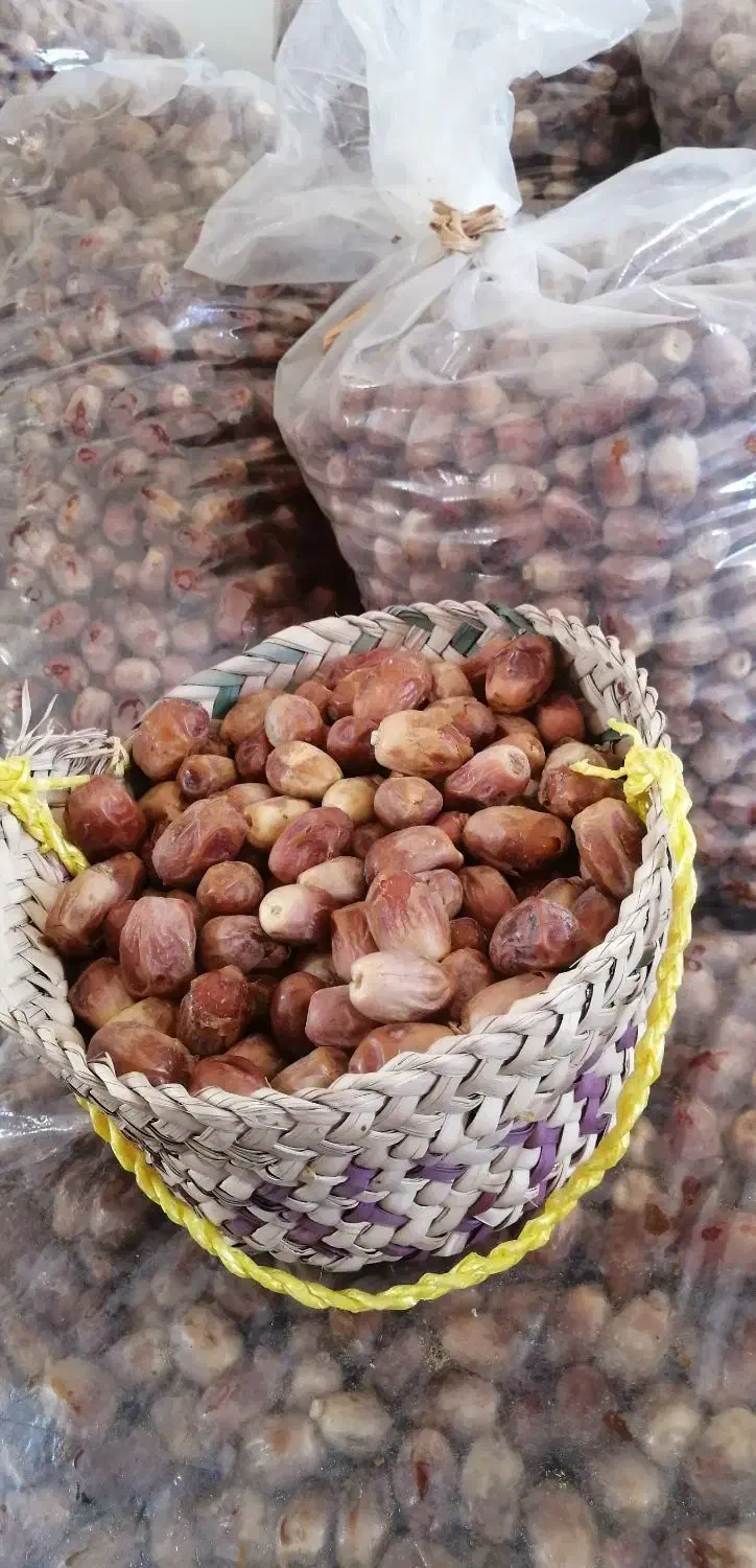 ق ص ب تازه|خوردنی و آشامیدنی|خرم بید, |دیوار