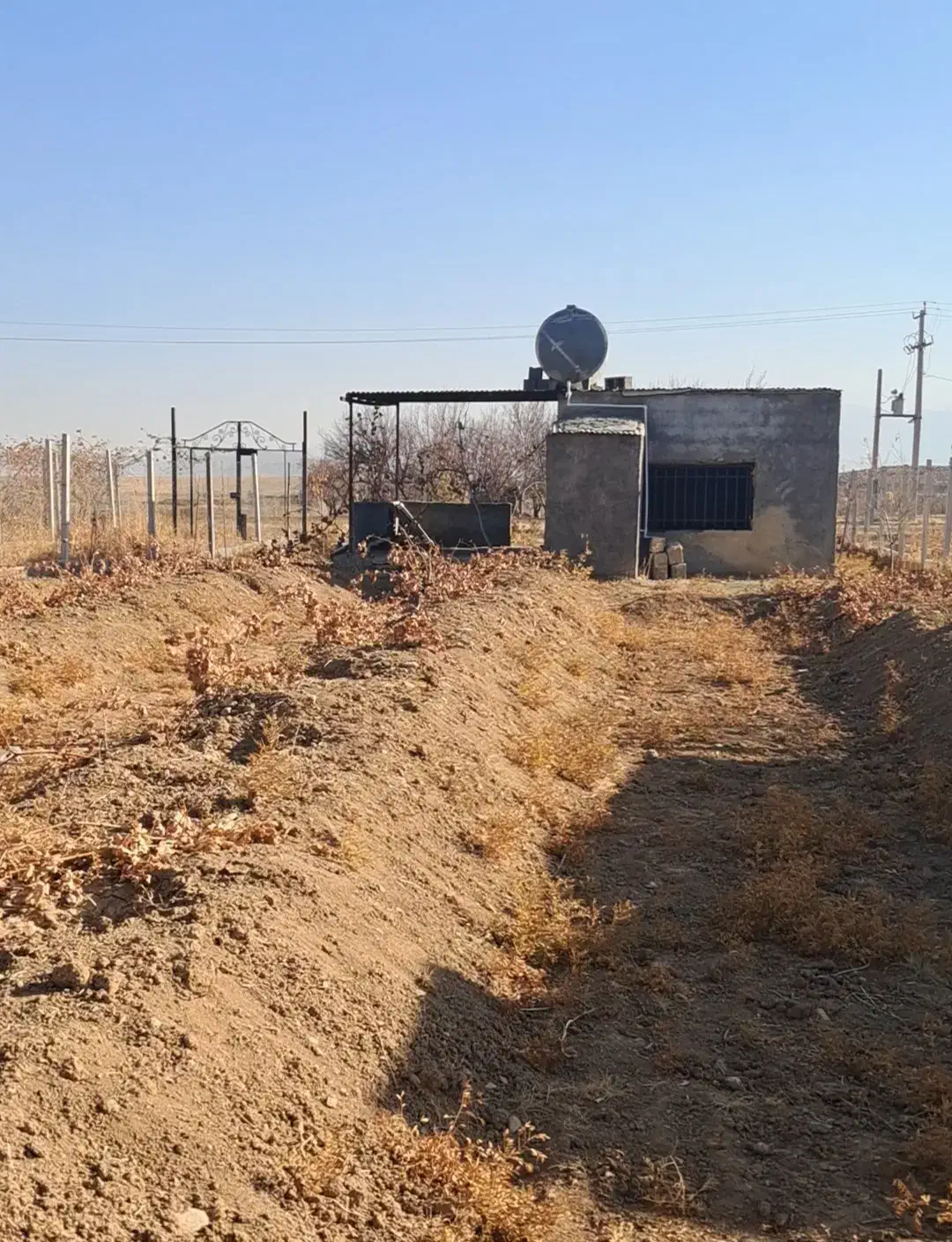 باسلام فروش باغ 500متری بهره جاده|فروش دفتر صنعتی، کشاورزی، تجاری|صالح آباد, |دیوار