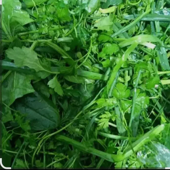 سبزی پاک کرده قرمه|خوردنی و آشامیدنی|ساری, |دیوار