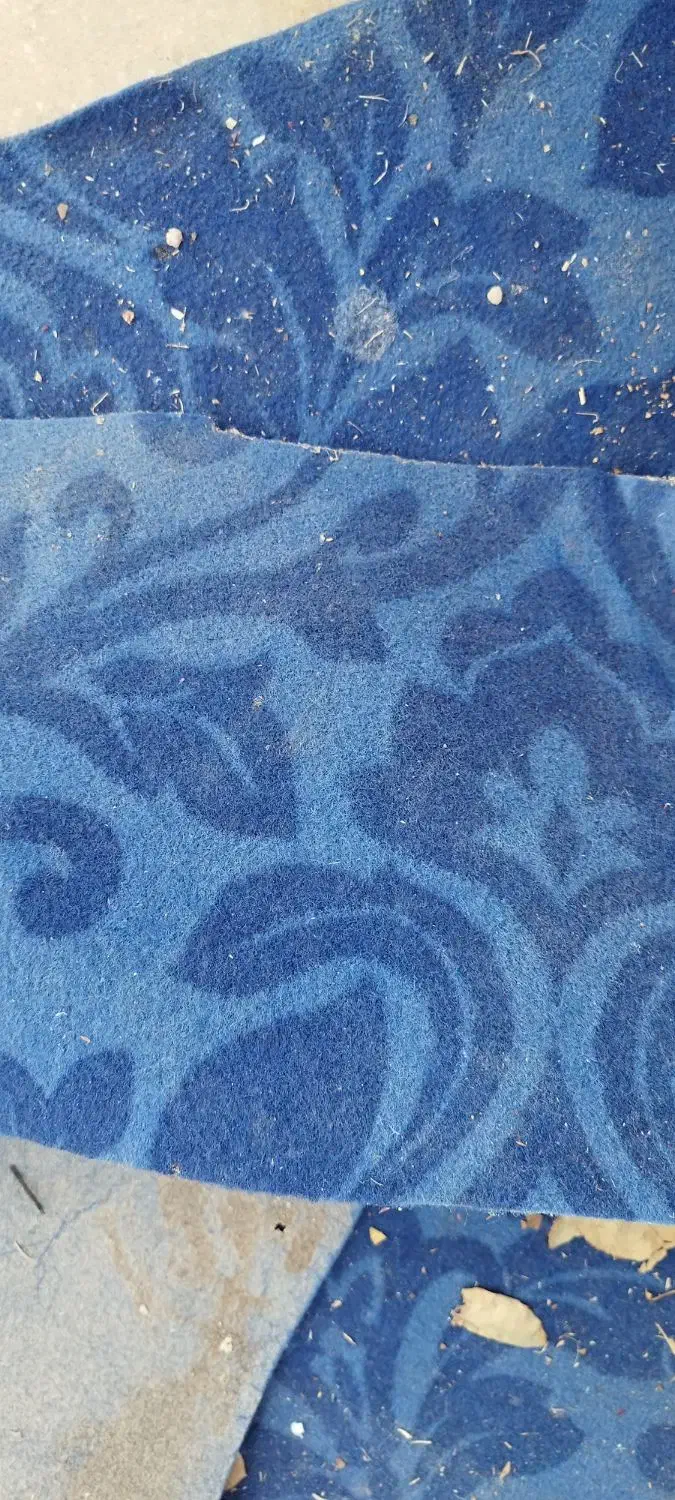 موکت دست دوم۴۰۰متریکجا|موکت|نجفآباد, قلعه سفید|دیوار