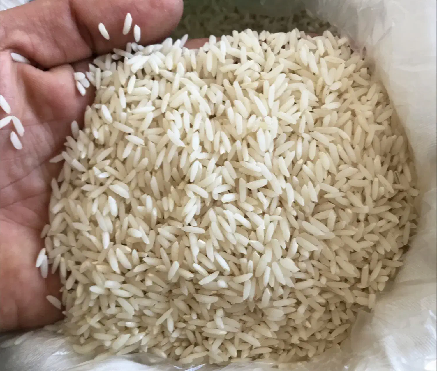 برنج|اشیا|قزوین, |دیوار