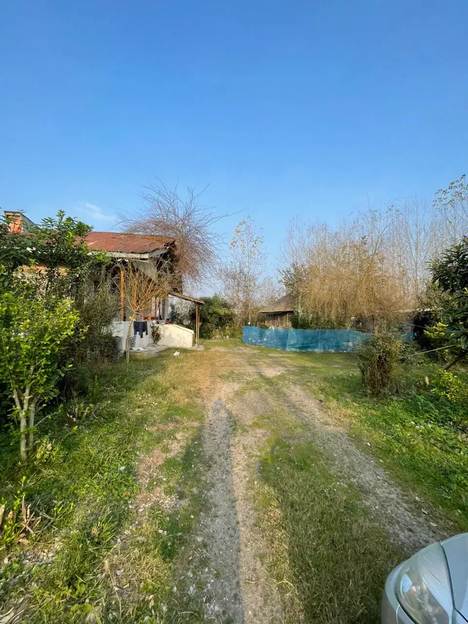 خانه و شالیزار 15هزار متری|فروش خانه و ویلا|رشت, دیلمان|دیوار