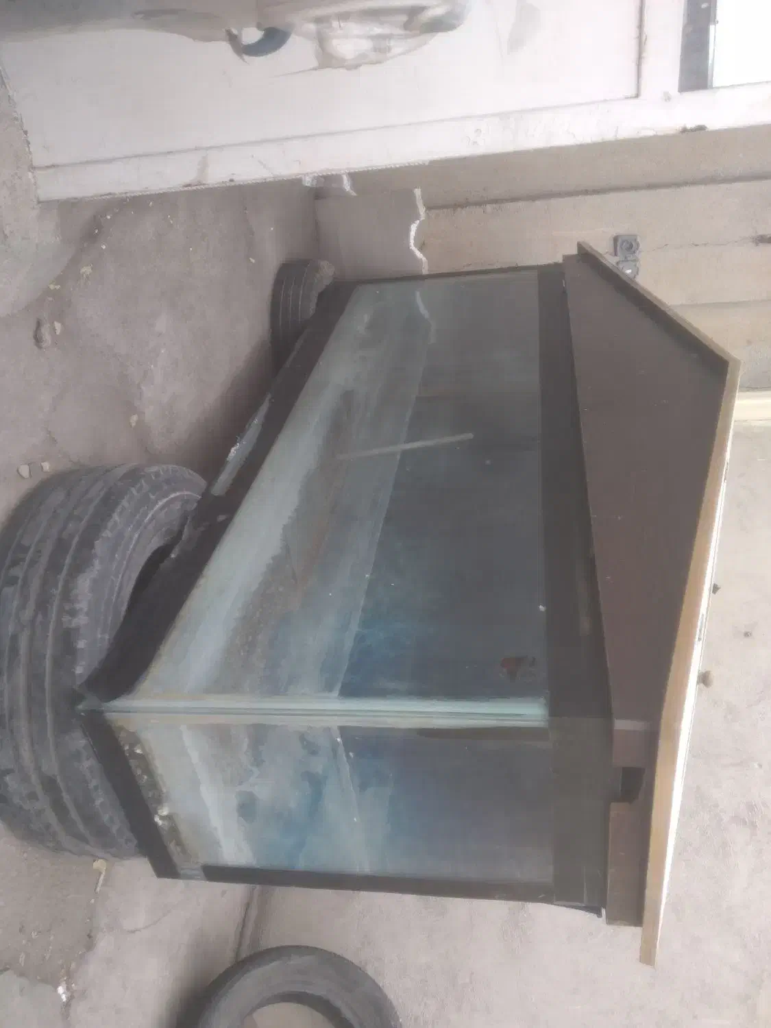 آکواریوم|ماهی|شیراز, محراب|دیوار