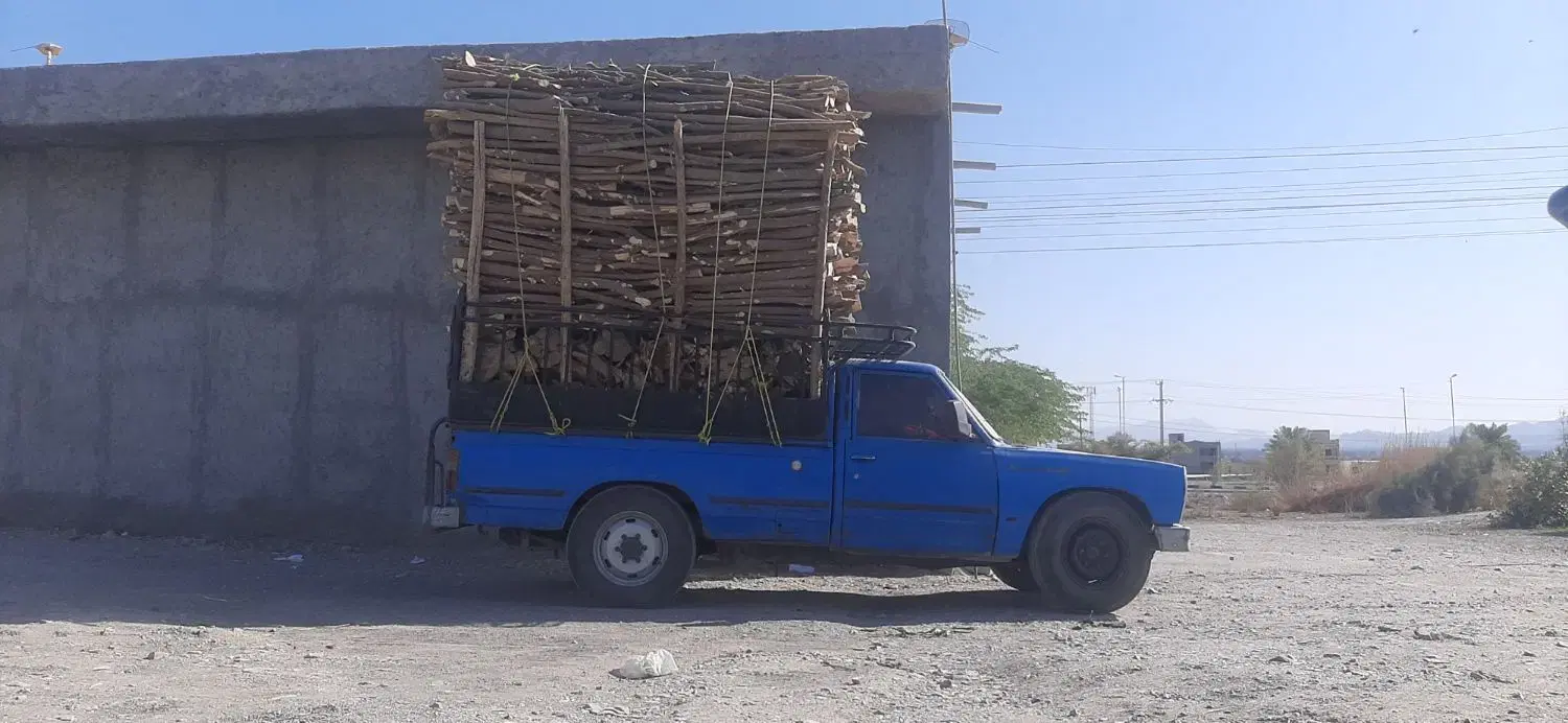 برش درخت|خدمات باغبانی و درختکاری|کازرون, |دیوار