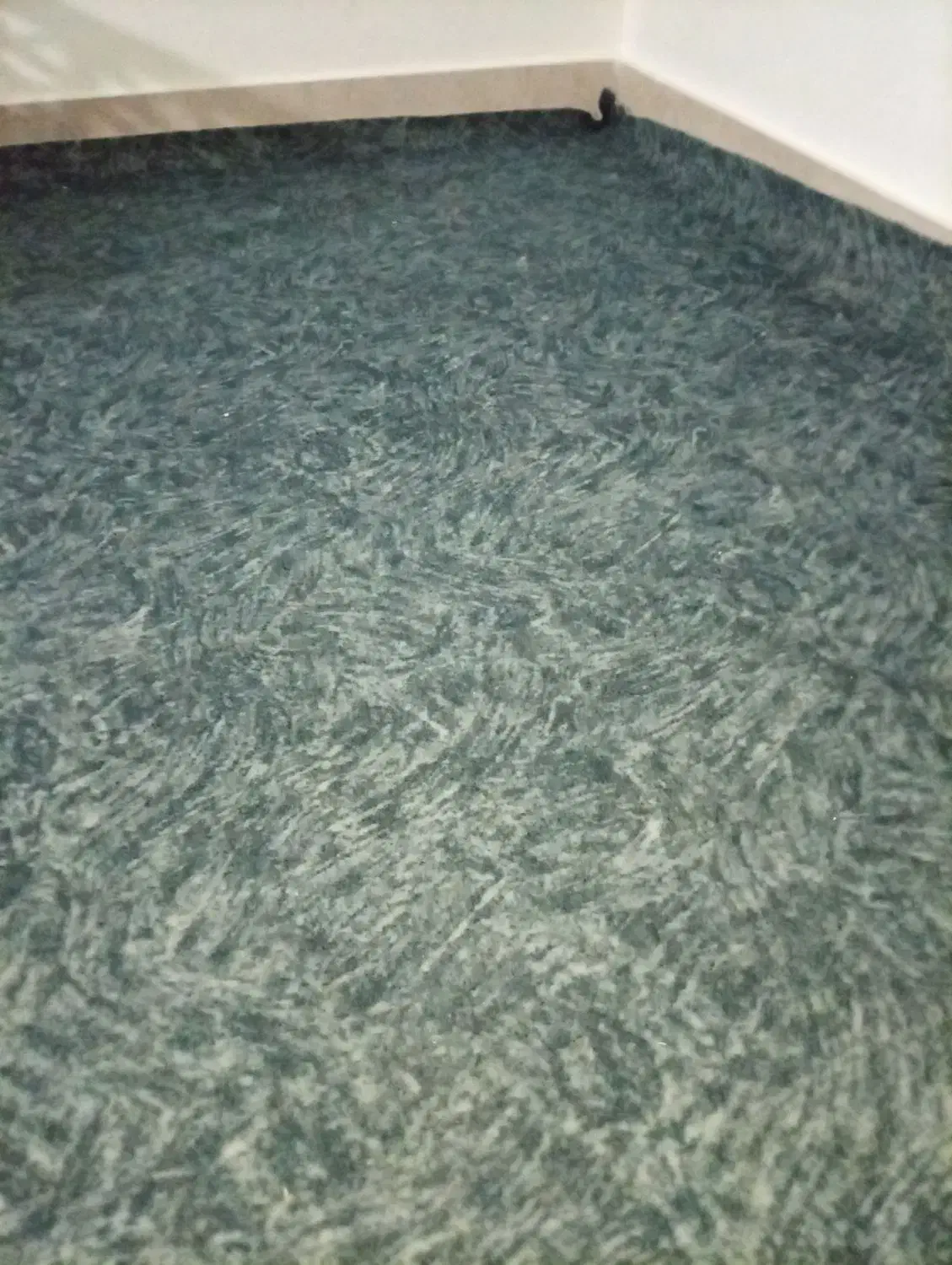 این موکت خیلی تمیز است برای خرید پیام بدید|موکت|بروجرد, |دیوار