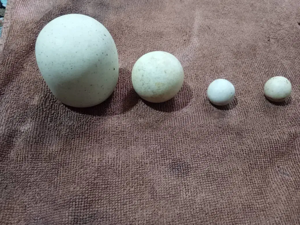 سنگ های مختلف|جواهرات|خوی, |دیوار