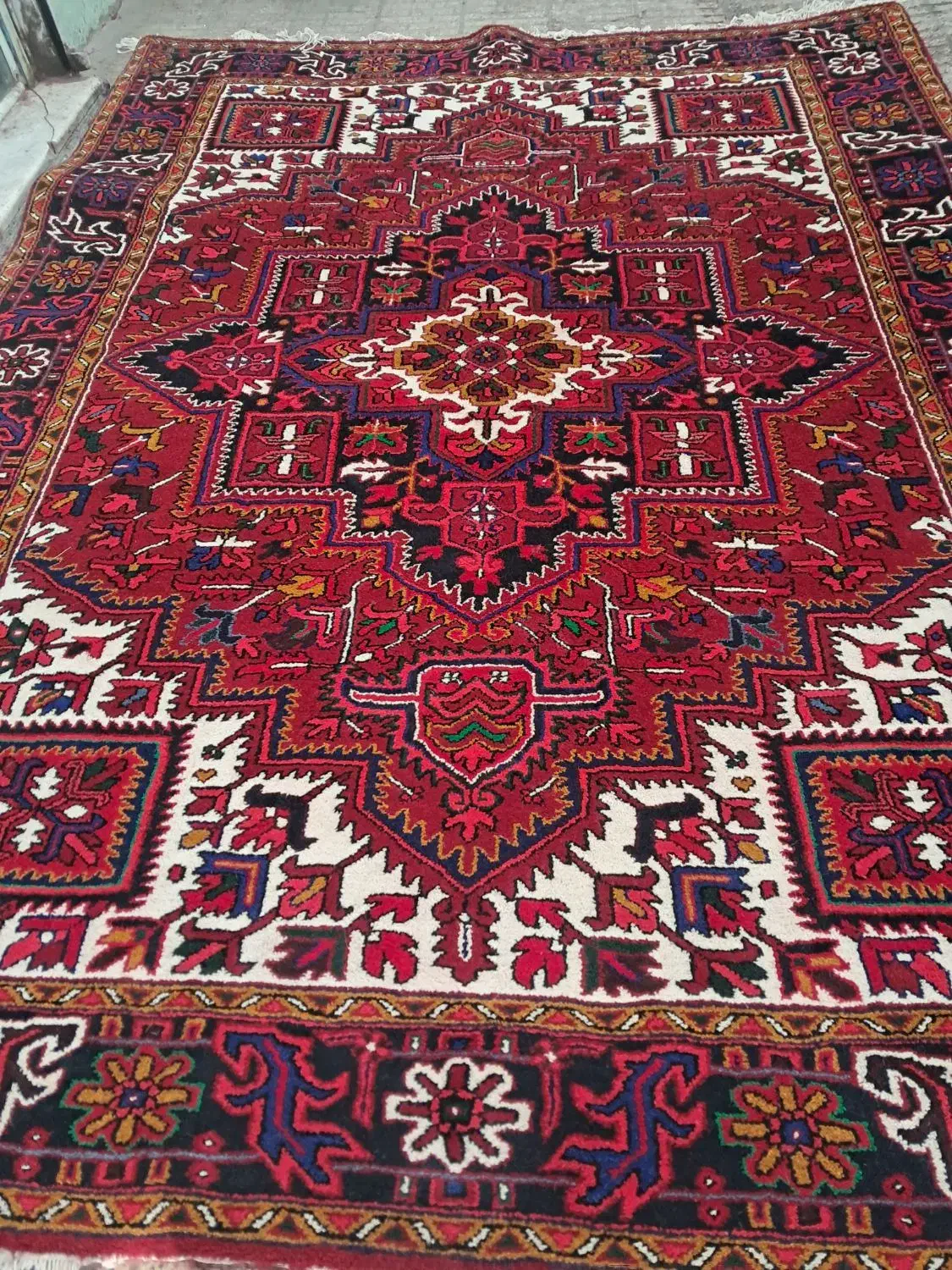 جفت ۹متری نو چشمه زان|فرش|بناب, |دیوار