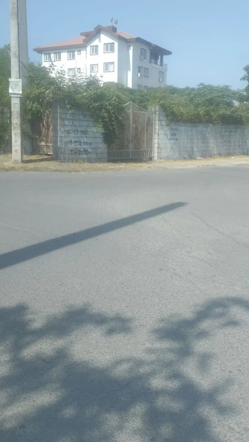 پیاده روی|فعالیت داوطلبانه|قم, باغ شازده|دیوار