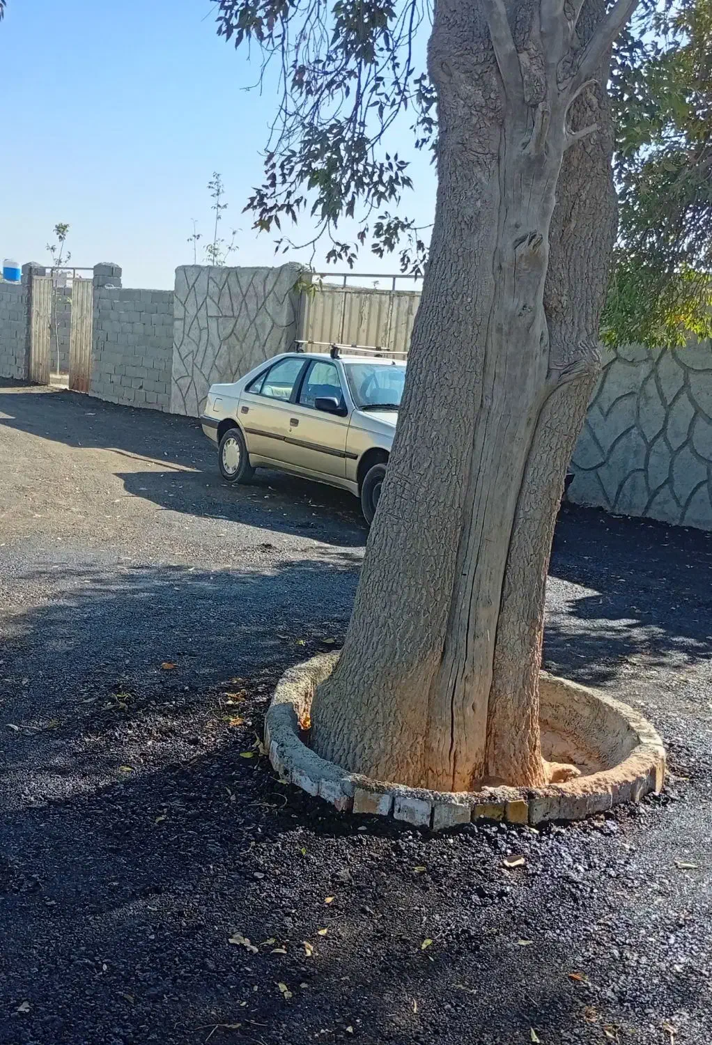 باغچه۲۵۹متری چسب مسکونی (چهار دیواری)|فروش زمین و ملک کلنگی|اسلام‌شهر, شهرک احمدیه|دیوار