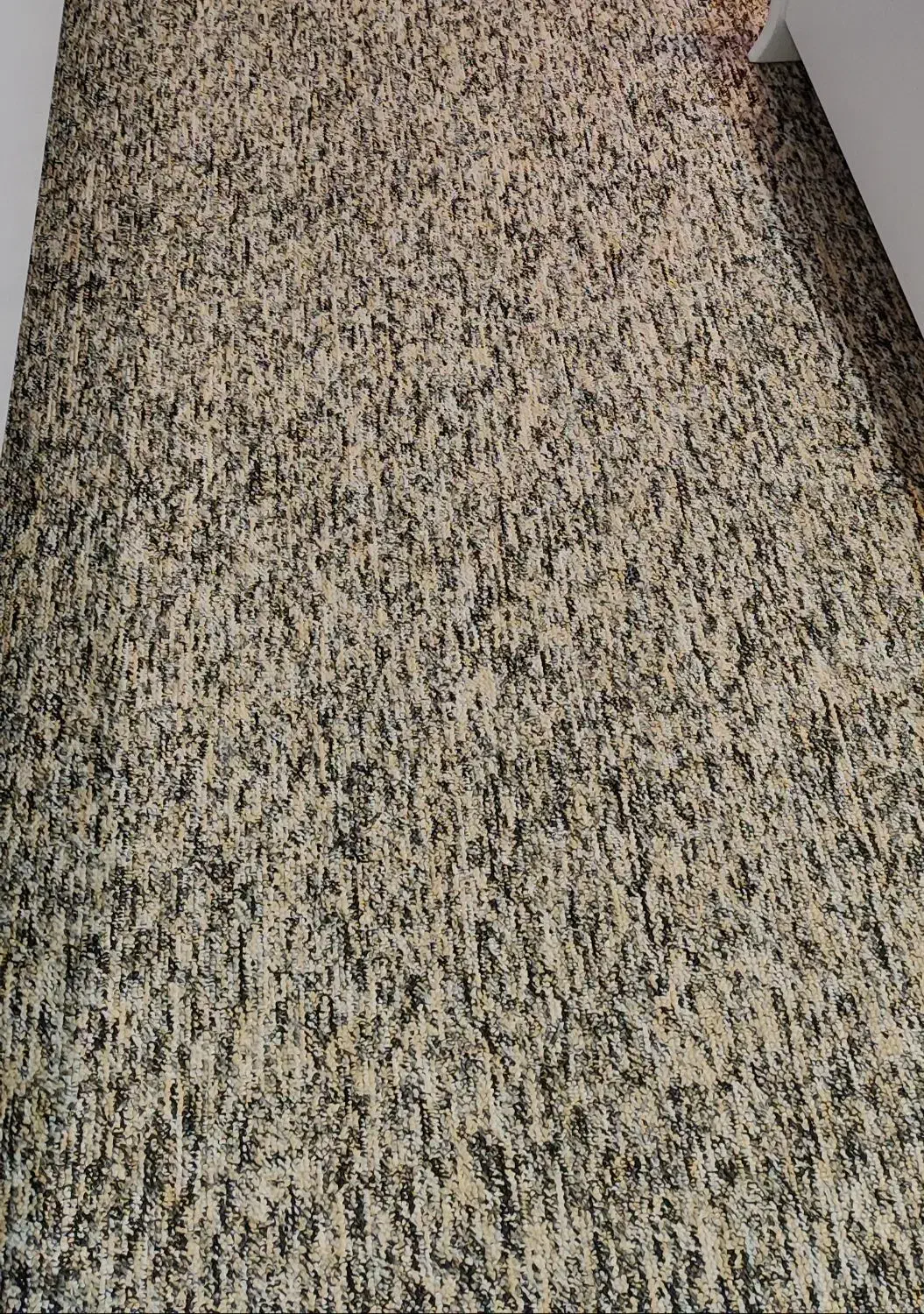 موکت|موکت|اهواز, گلستان|دیوار