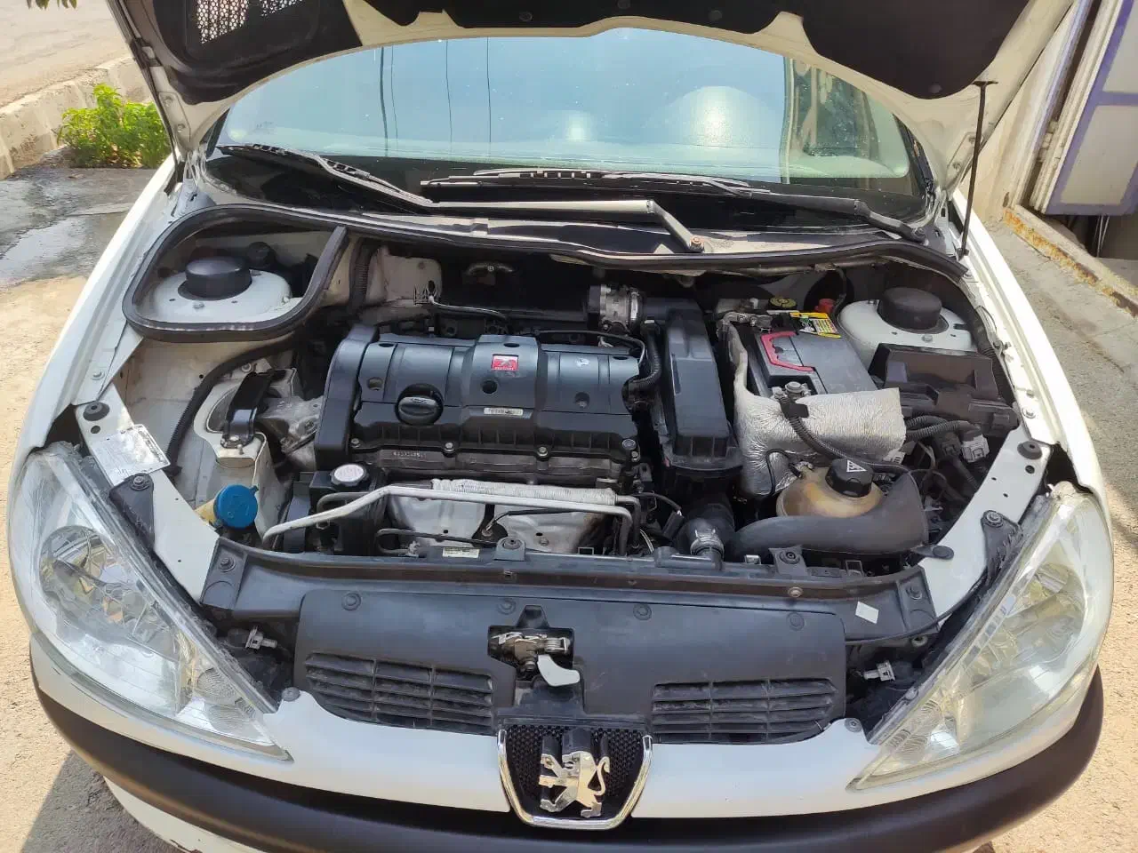 پژو v8  sd206|خودرو سواری و وانت|شیراز, محراب|دیوار