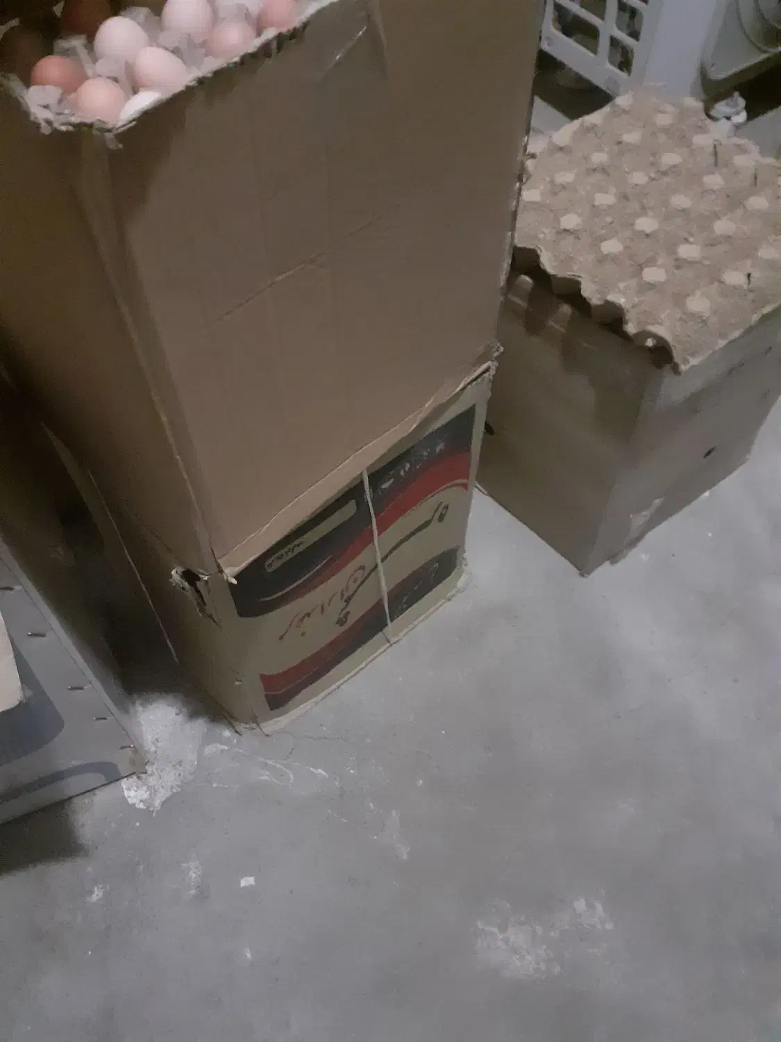 تخم مرغ تک زرده ودوزرده گلپایگان.|خوردنی و آشامیدنی|تهران, ازگل|دیوار