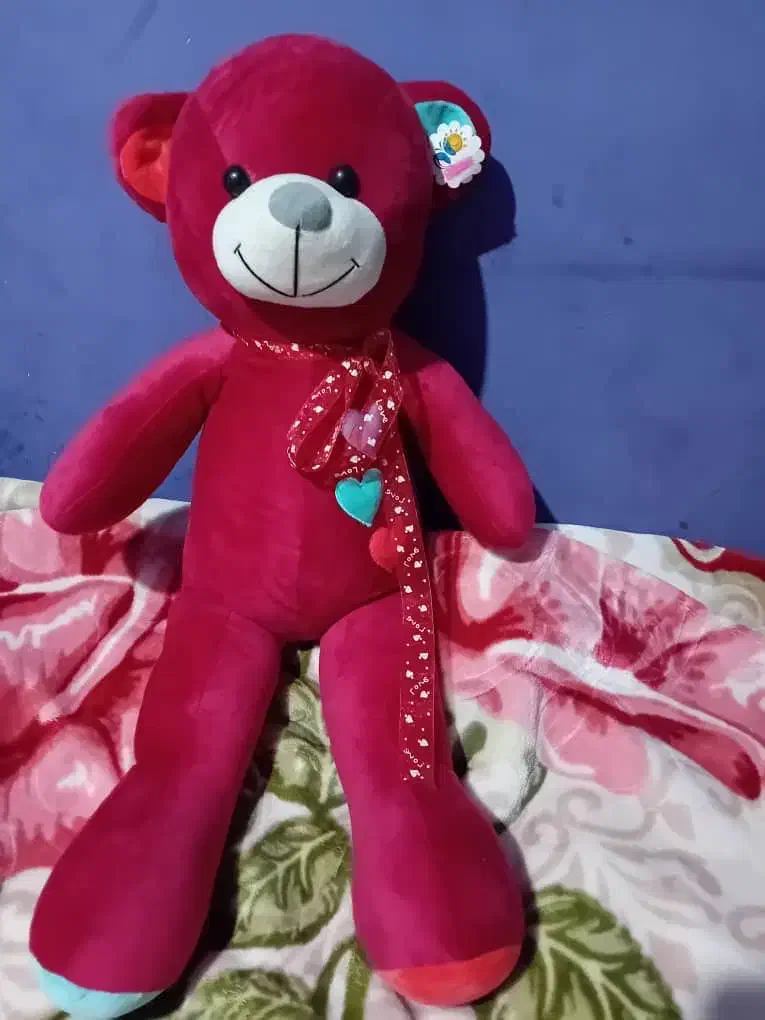 تدی عروسک|اسباببازی|شهر ری, شهرک نظامی|دیوار