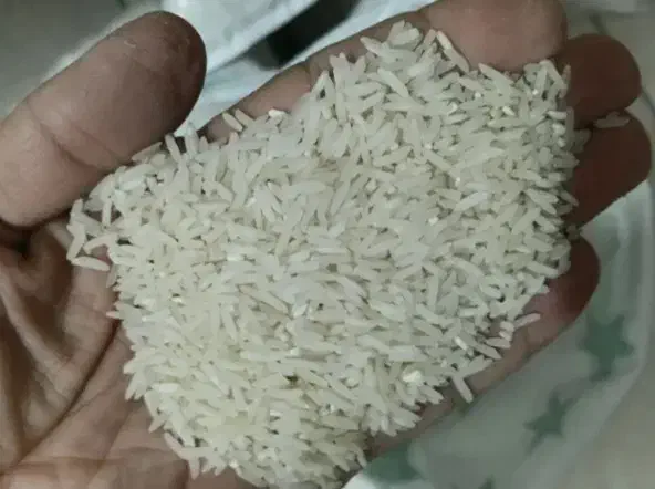 برنج فجر ۹۰ روزه|حراج|گرگان, |دیوار